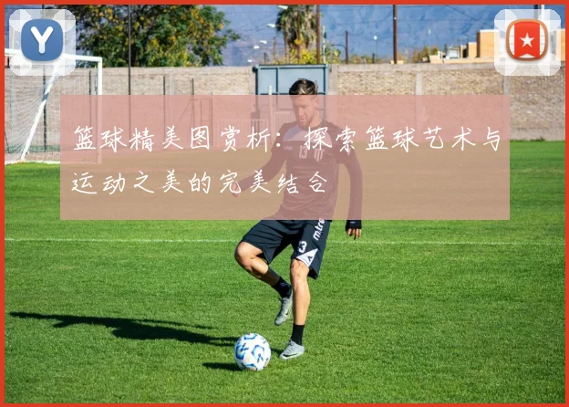 篮球精美图赏析：探索篮球艺术与运动之美的完美结合