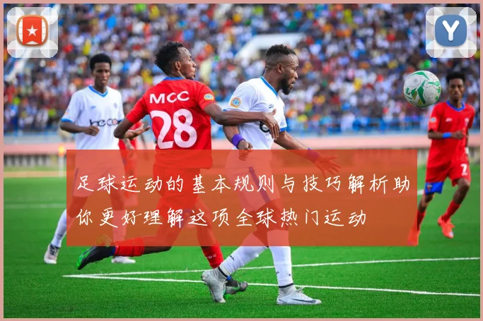 足球运动的基本规则与技巧解析助你更好理解这项全球热门运动
